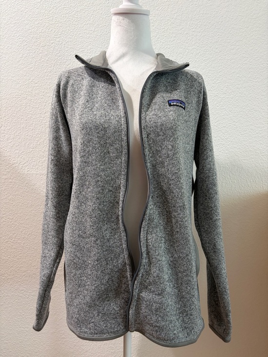 Patagonia Other - Patagonia Light Gray Heather Full-Zip Fleece Jacket